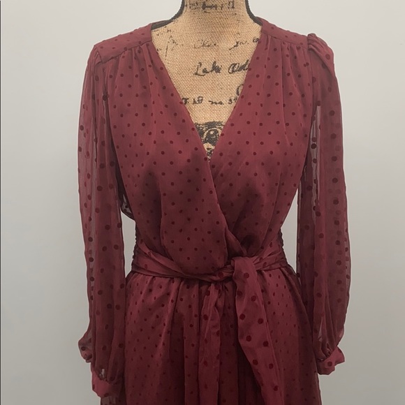 Zara dotted mesh belted mini dress - Picture 3 of 16